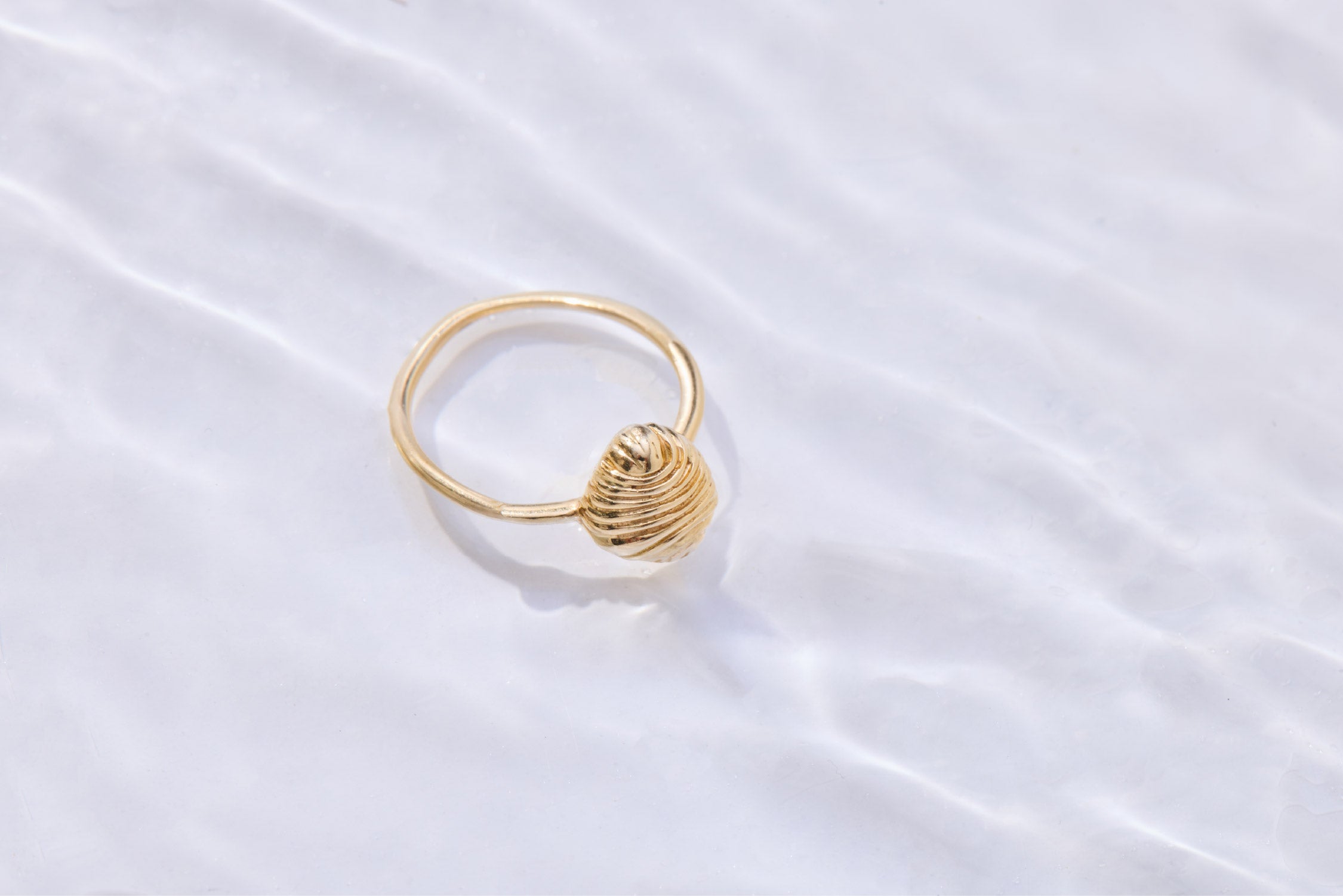 Golden Shell Ring