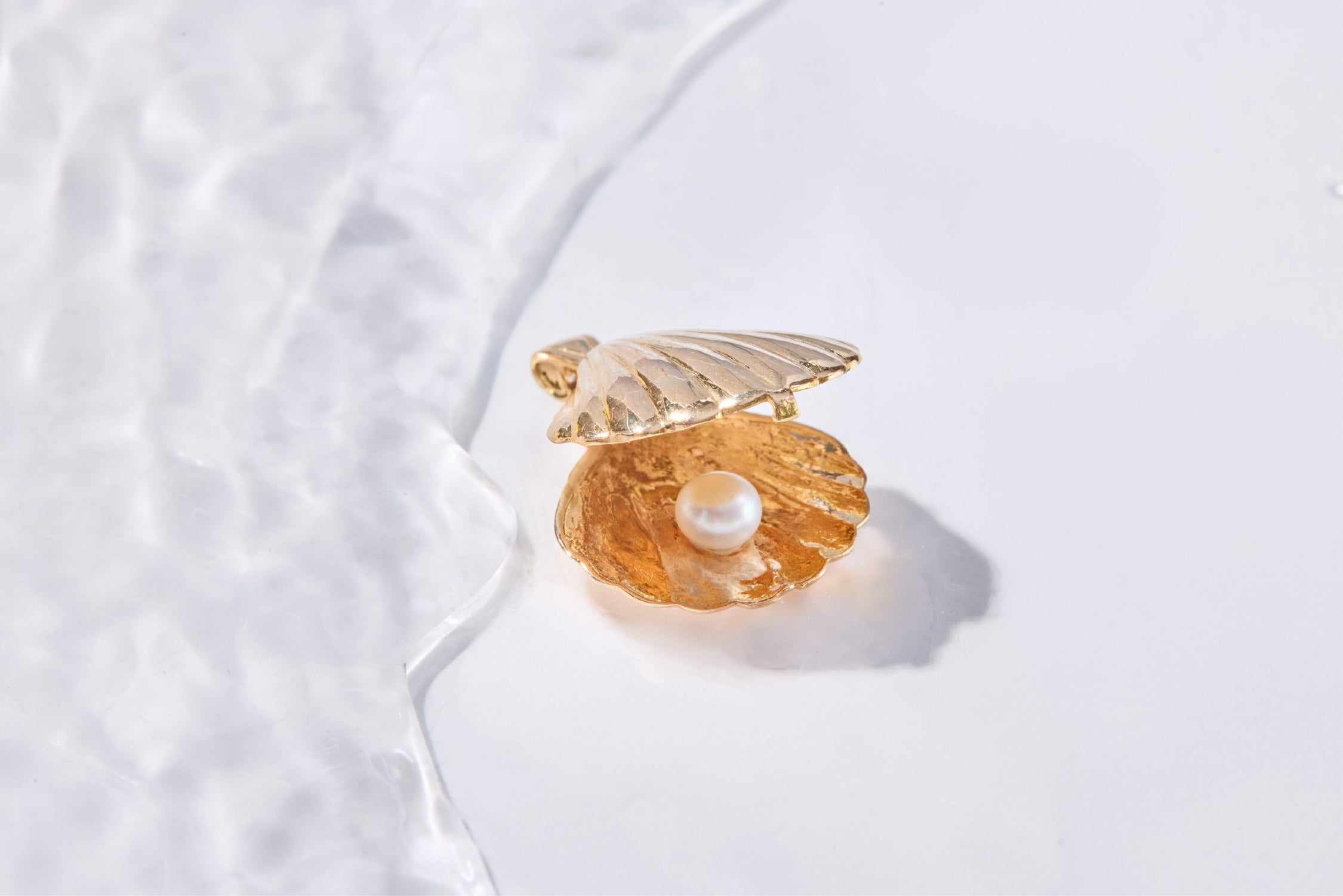 صدفة المحيط الهمس