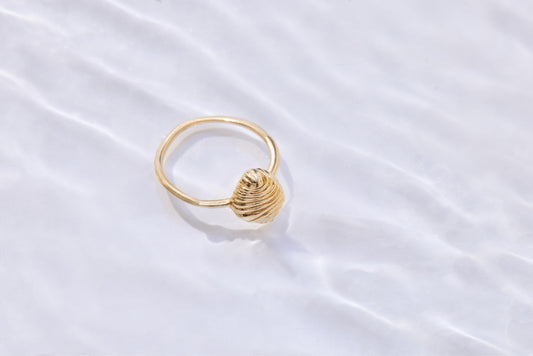Golden Shell Ring
